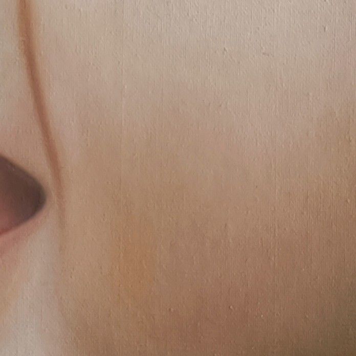 Close-up of the hand-painted portrait: the skin tones around the mouth and jaw