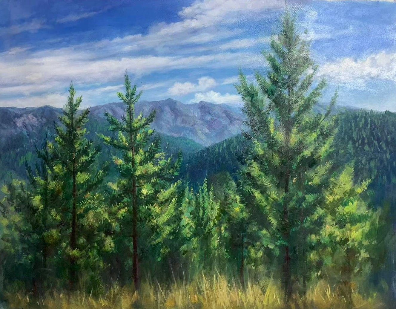 Pine trees before blue mountains beneath a clouded sky.