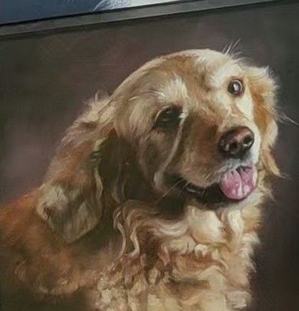 A golden retriever portrait shows the dog facing forward against a dark, warm-toned background.