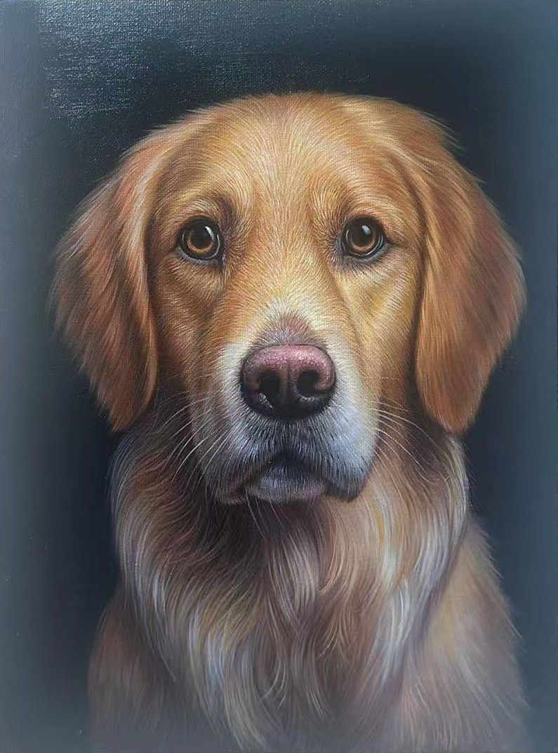 A golden retriever head with warm golden fur against a dark background.