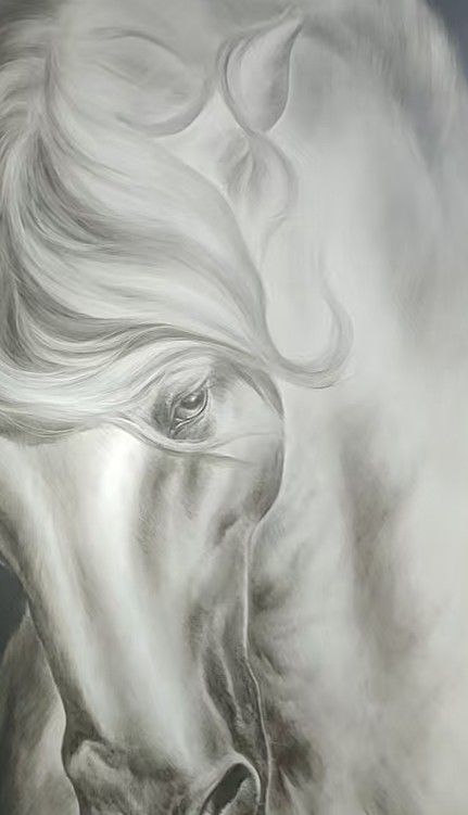A white horse lowers its head against a dark background, with pale mane and face in soft contrast.