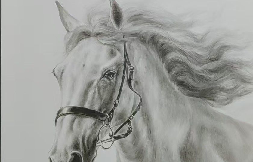 A white horse head portrait with a flowing mane and bridle, rendered in soft graphite-like tones.