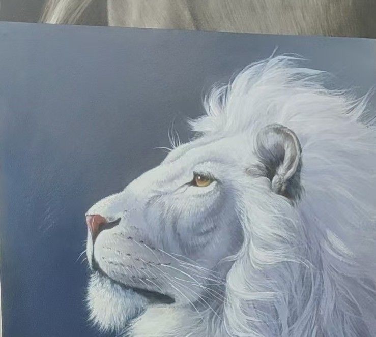 A white lion looks upward against a blue ground, with a softly layered mane and calm expression.