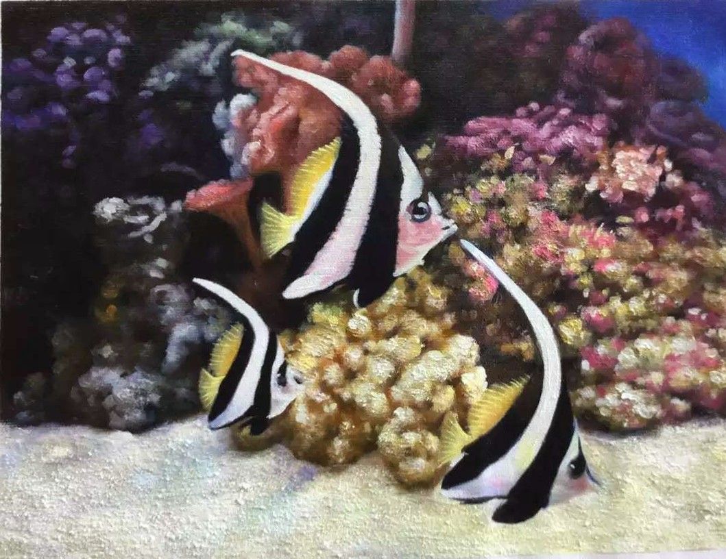 Striped tropical fish swimming above a colourful coral reef.