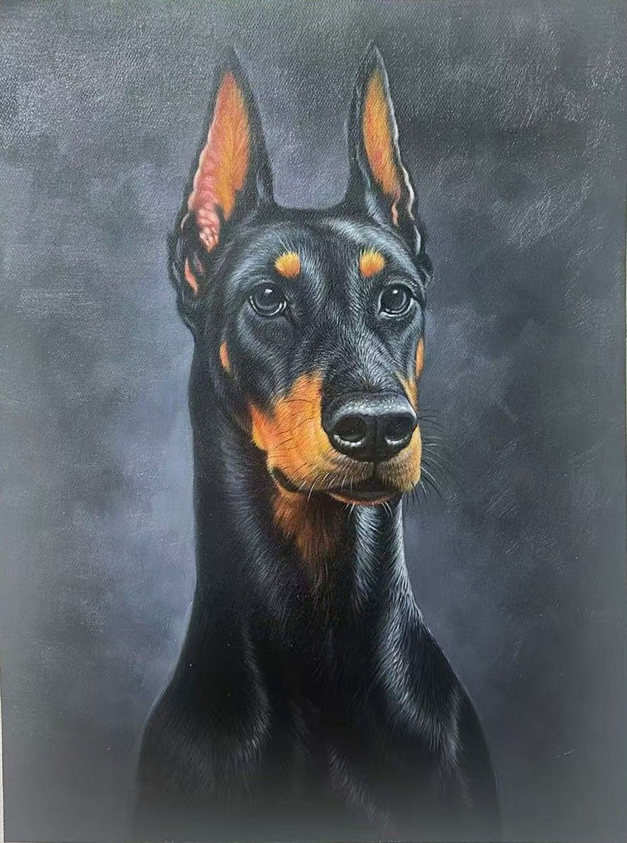 A black and tan Doberman with upright ears against a dark background.