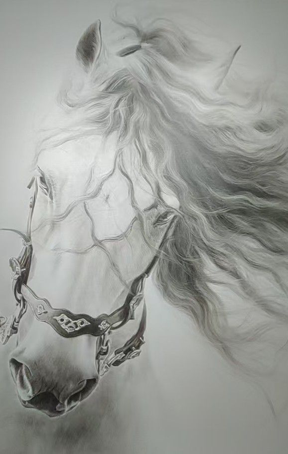 A white horse portrait with flowing mane and detailed bridle, painted on a pale ground.