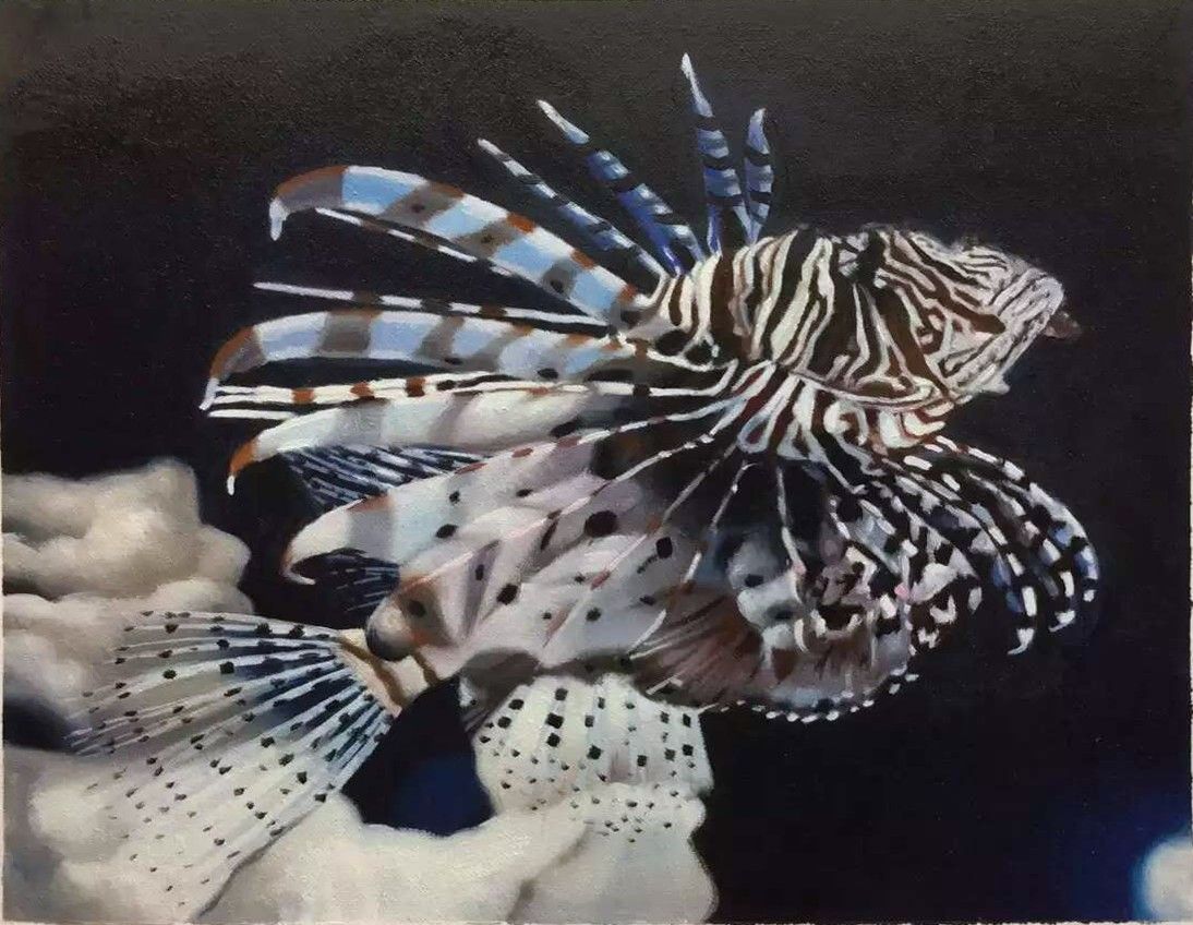 A striped lionfish with radiating fins above a pale seabed.