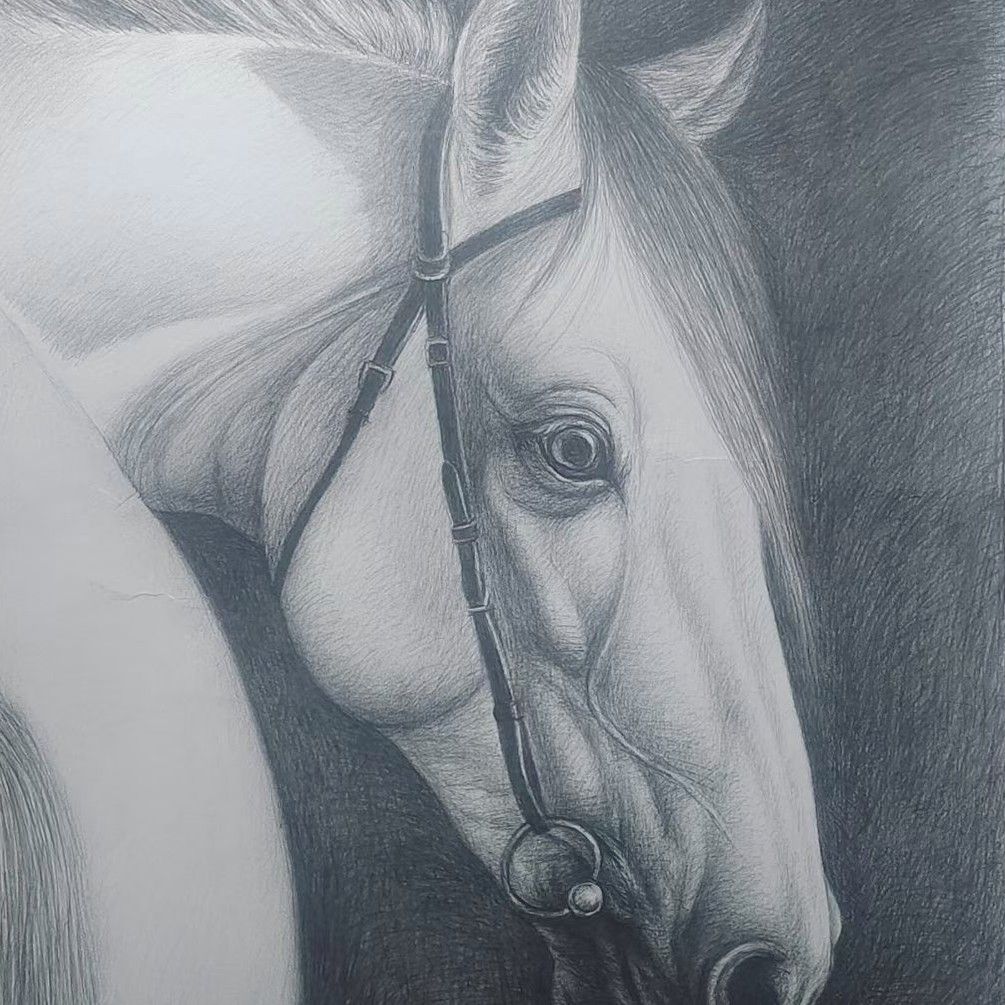 Hand-painted portrait of a Warmblood, showing the breed's coat and expression